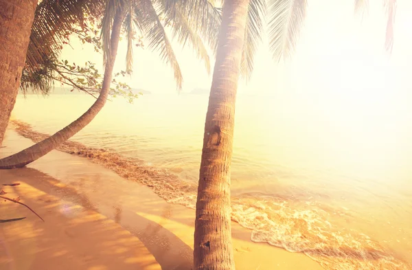 Serenity tropical beach — Stock Photo, Image