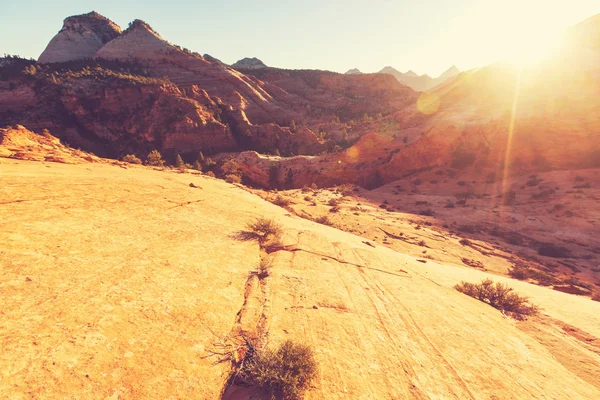 Zion National Park — Stock Photo, Image