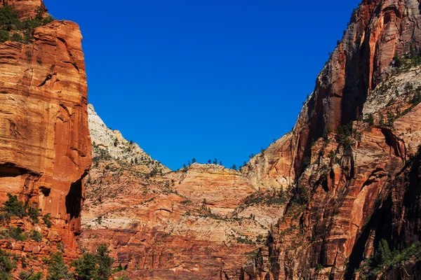 Parco nazionale di Zion — Foto Stock