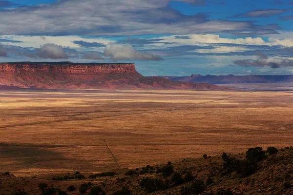 Amerikaanse woestijn landschap — Stockfoto