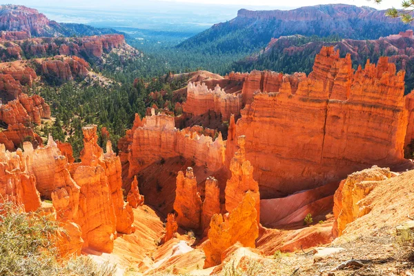 Nationaal park Bryce Canyon — Stockfoto