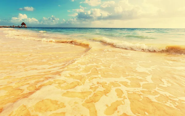 Serenità spiaggia tropicale — Foto Stock