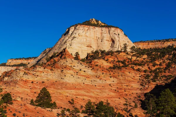 Parco nazionale di Zion — Foto Stock