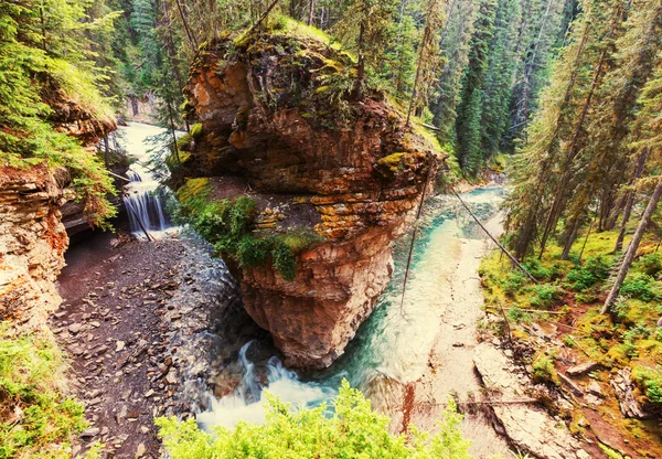 Johnston Canyon w Kanada — Zdjęcie stockowe