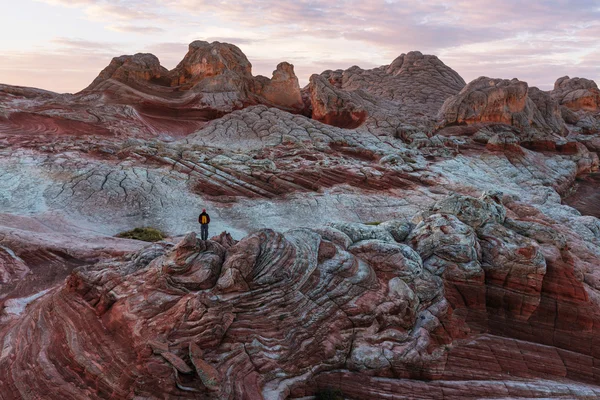 Hiking man at White pocket — Stock Photo, Image