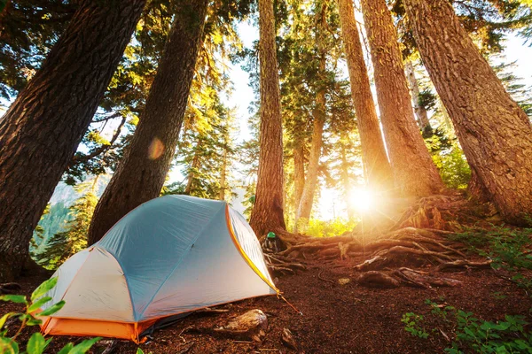 Tenda nella foresta montana — Foto Stock