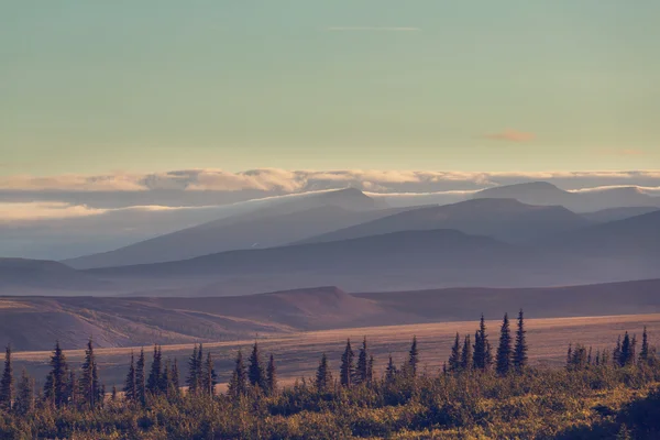 Polarlandschaften der Tundra — Stockfoto