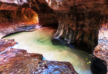 Narrows Zion National Park
