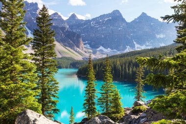 Banff Ulusal Parkı 'ndaki Moraine Gölü