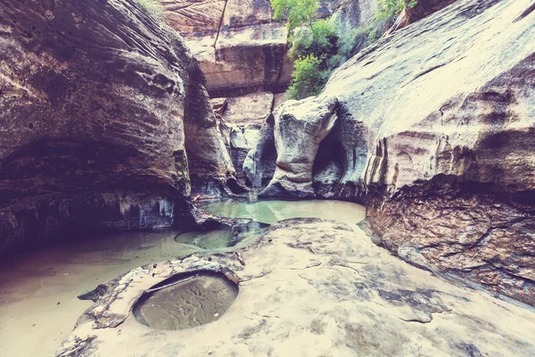 Narrows Zion National Park — Stok fotoğraf