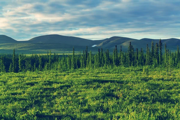 Paisagem de tundra polar — Fotografia de Stock