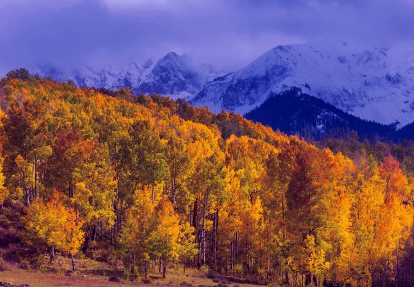 Temporada de outono nas montanhas — Fotografia de Stock