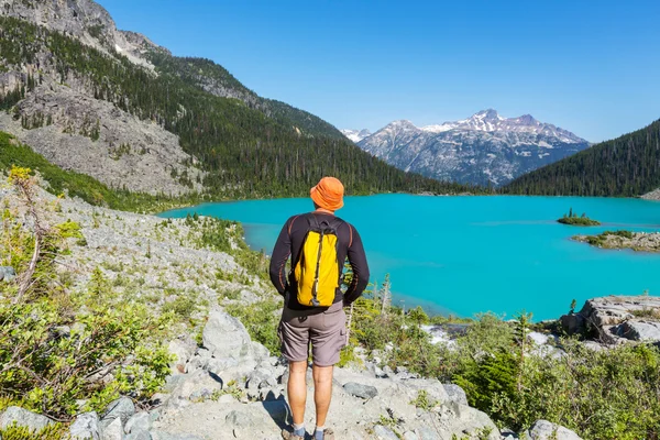 Caminhadas homem perto do lago Joffre — Fotografia de Stock