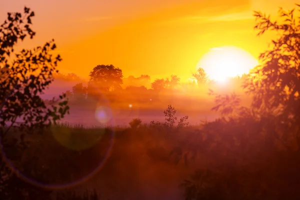 Brouillard sur la prairie au lever du soleil — Photo