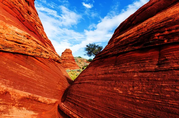 Coyote Buttes, Utah — Zdjęcie stockowe