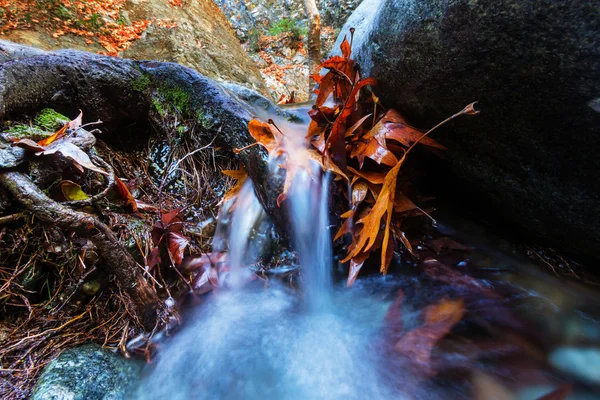 Leśnego potoku jesienią — Zdjęcie stockowe