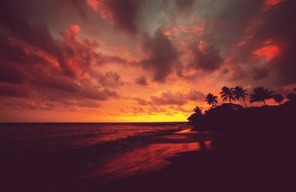 Hawaiian beach at sunset — Stock Photo, Image