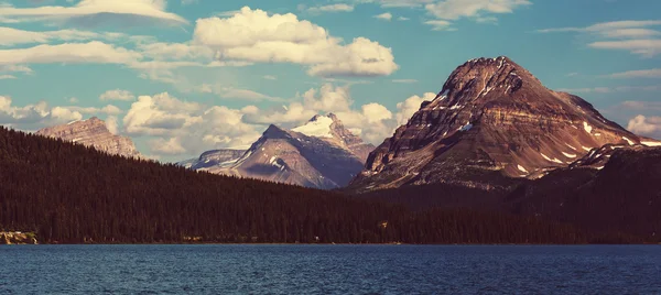 Bow Lake, Icefields Parkway — Foto Stock