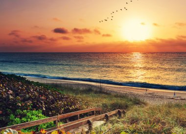 Beach boardwalk ile manzara