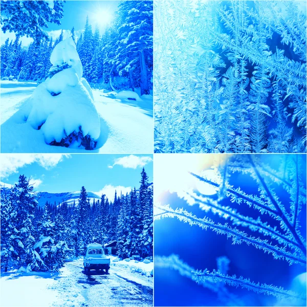 Talvi kollaasi luminen metsä — kuvapankkivalokuva