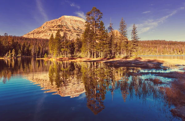 나무와 산에 호수 — 스톡 사진