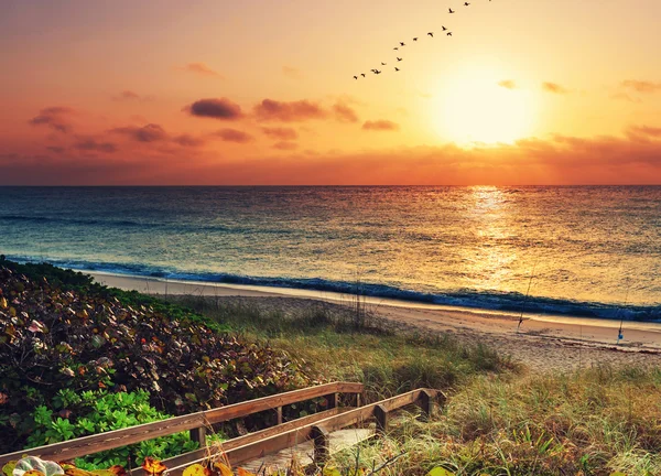 Landscape with boardwalk on beach — Stock Photo, Image