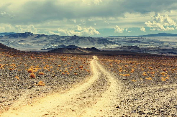 Paisaje del norte de Argentina —  Fotos de Stock