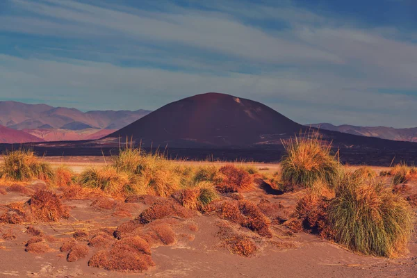 Landschaften im Norden Argentiniens — Stockfoto