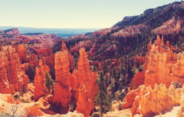 Bryce canyon peyzaj