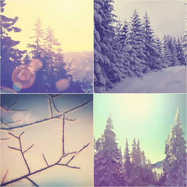 Winterferien-Collage — Stockfoto