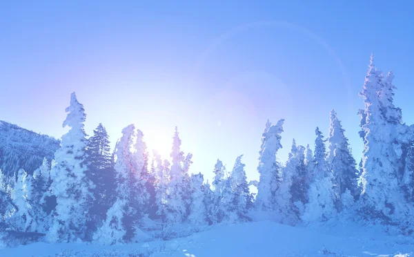 冬天在冰川公园 — 图库照片