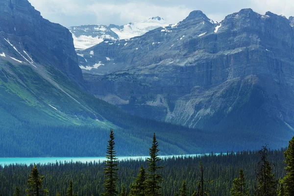 Blå sjön i Kanada — Stockfoto