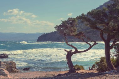 Kıbrıs'ta deniz kıyısında