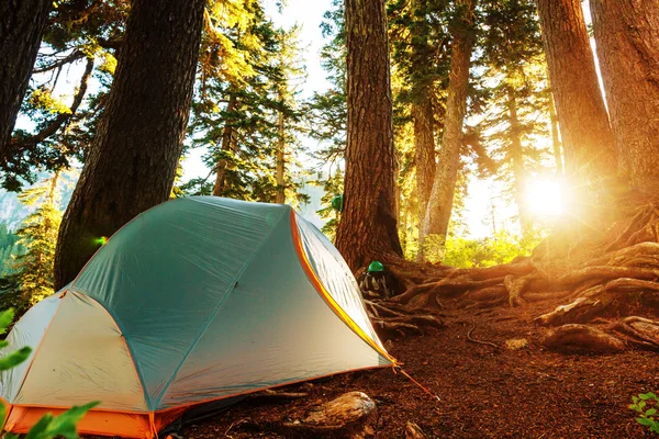 Namiot w lesie w górach — Zdjęcie stockowe