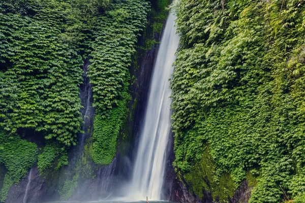 Cascada en la selva indonesia — Foto de Stock