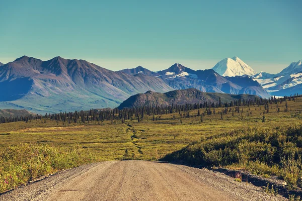 Denali otoyolu, Alaska manzaraları — Stok fotoğraf