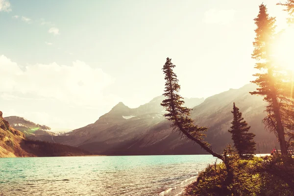 Lago di serenità in Canada — Foto Stock