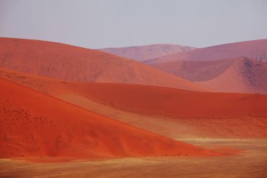 Dunes Namib Çölü'nde