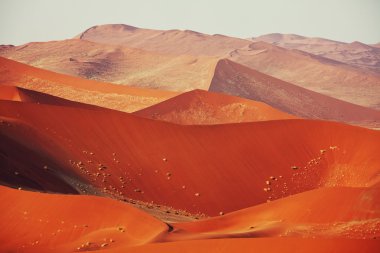 Dead Valley in Namibia clipart
