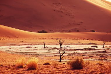 Dead Valley in Namibia clipart