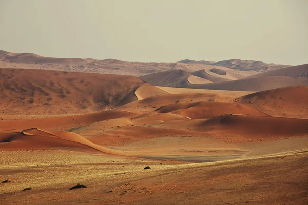 Dünen in der namib Wüste — Stockfoto