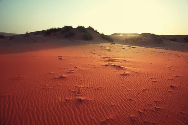 Dune nel deserto del Namib — Foto Stock