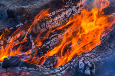 Akşam kamp ateşi yakın çekim