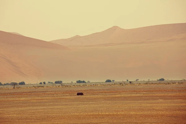 Dunes de sable dans le désert namibien — Photo