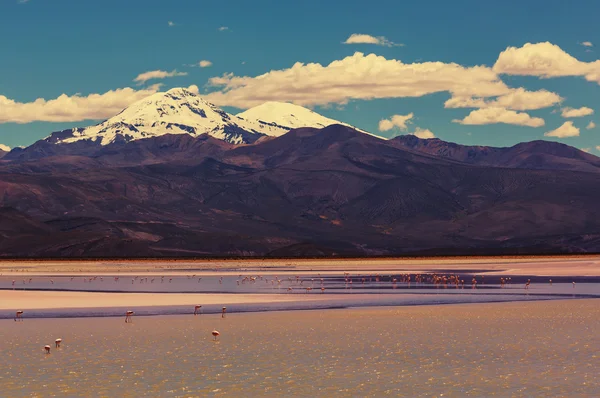 Hohe berge in bolivien — Stockfoto