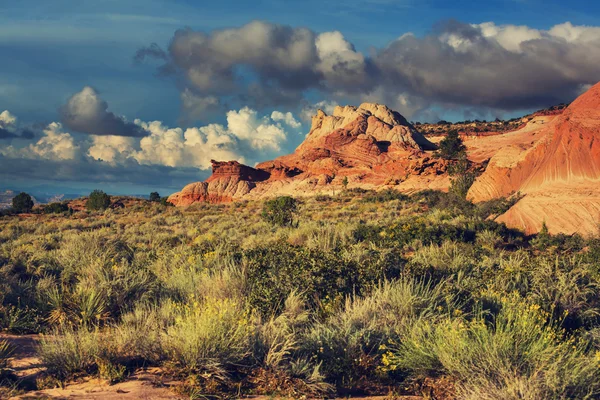 Coyote Buttes, Utah et Arizona — Photo