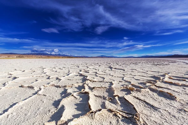 Salt desert in Argentina — Stock Photo, Image