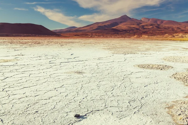 Deserto de sal em Argentina — Fotografia de Stock