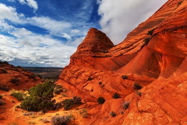 Buttes de coiote, Utah e Arizona — Fotografia de Stock