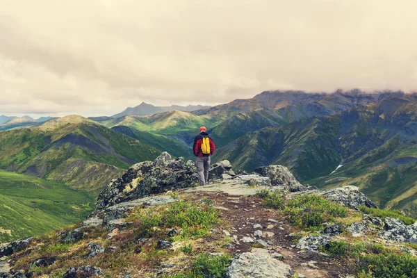 Hombre excursionista en tundra polar — Foto de Stock